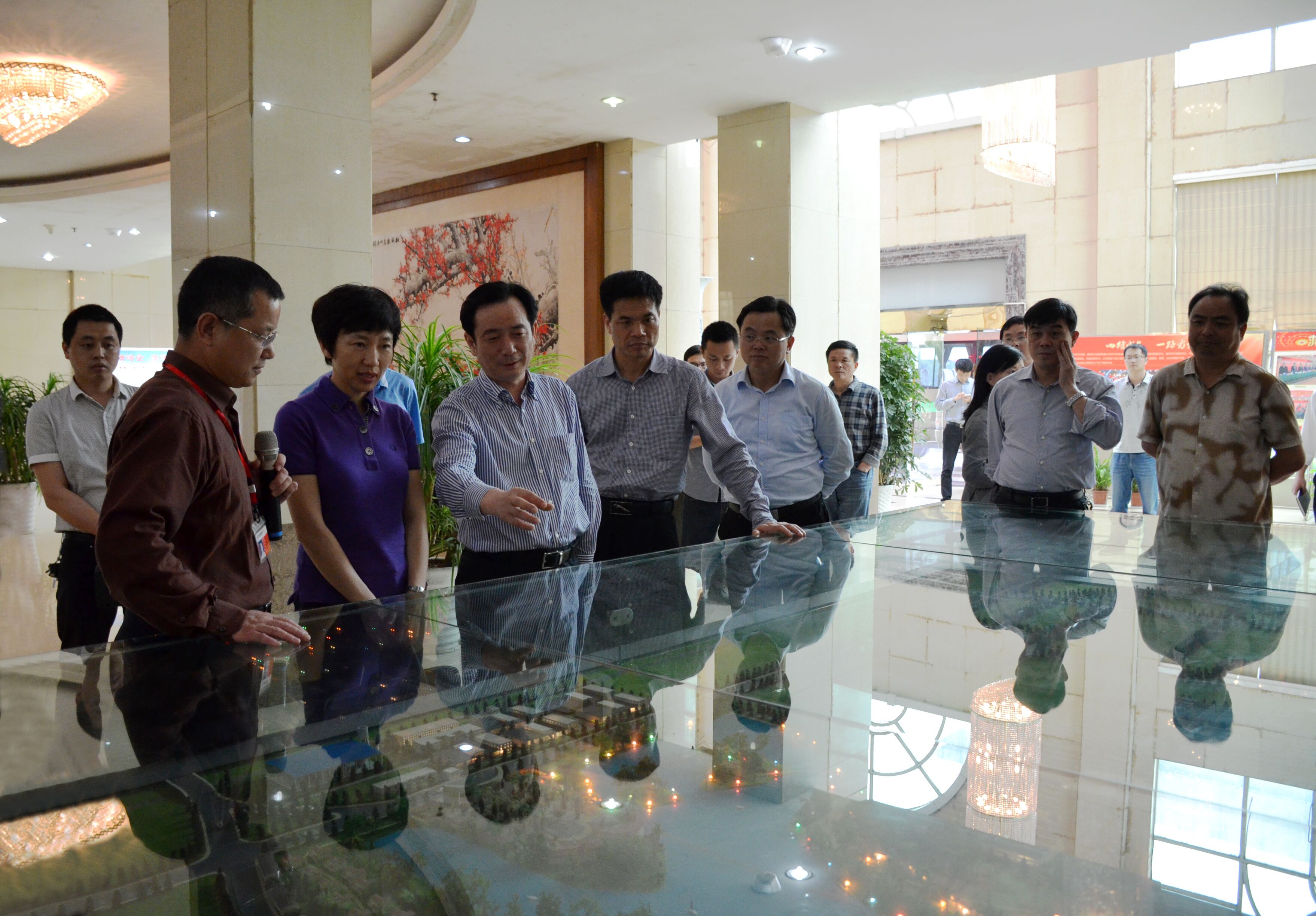 國務院促進民間投資專項督查組蒞臨我市司考察調研