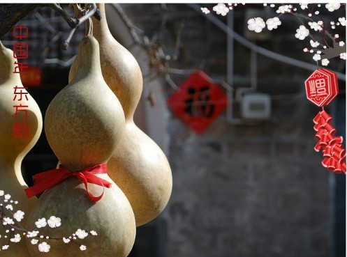 “中國(guó)年?yáng)|方韻”完美收官萬(wàn)幅年照刻上春節(jié)烙印