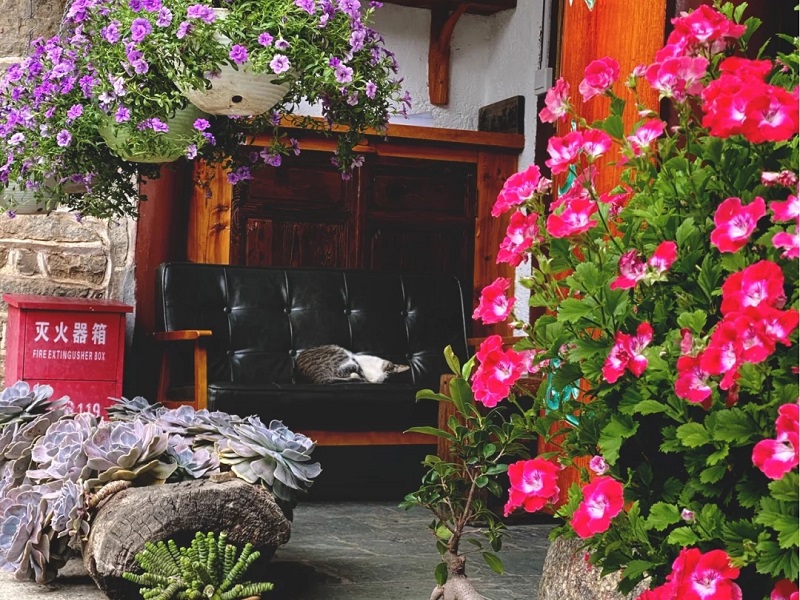 大理研學(xué)營(yíng)——探索人文大理 · 體悟靈性生活