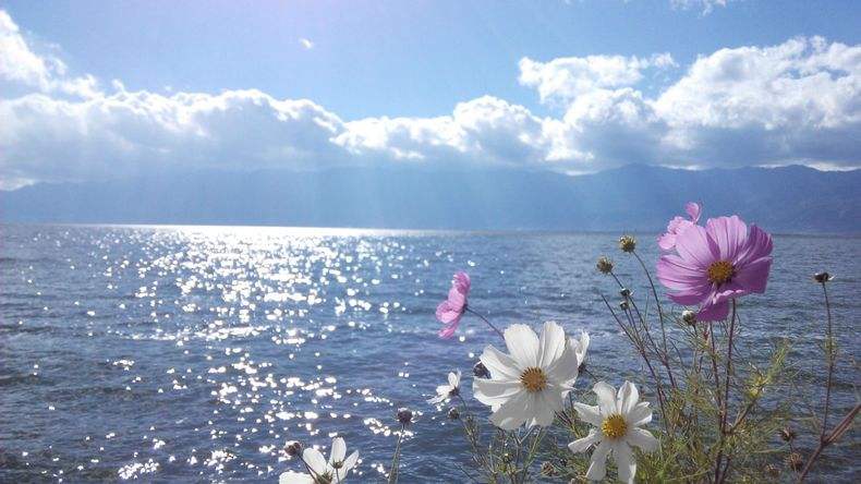 天行大理沖心智夏令營課程能對青少年心智發展的幫助哪些？