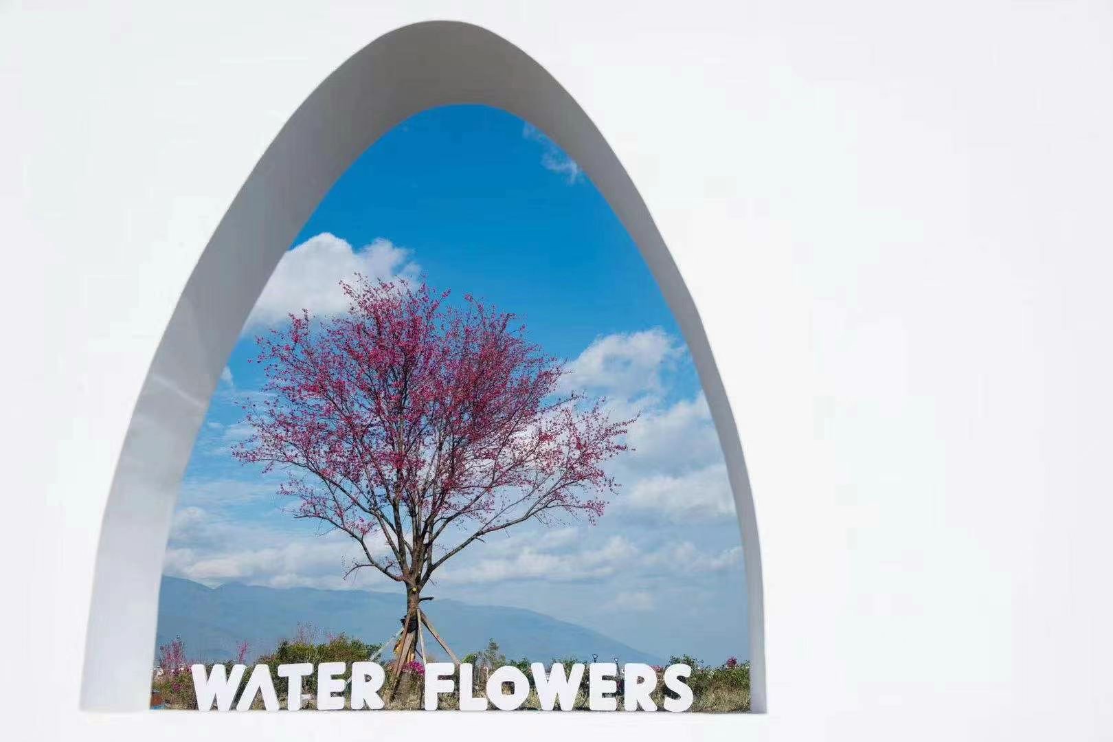 大理水花莊園戶外篝火晚會(huì)團(tuán)建拓展