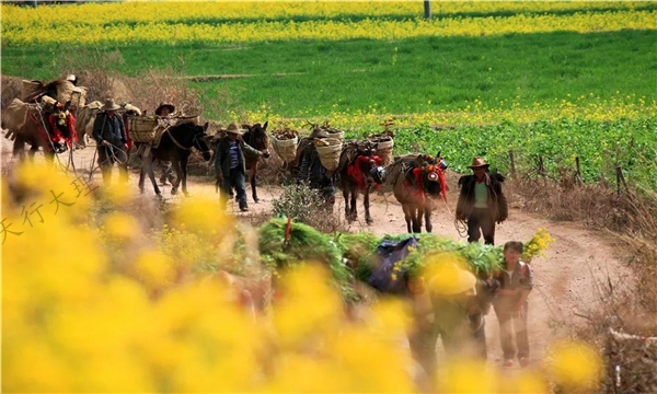 新晉省級旅游名鎮(zhèn)  走進(jìn)大理永平博南 探尋古西南絲綢之路的悠悠歷史