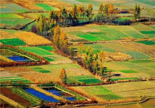 秋風乍起，和大理鳳羽小鎮來一場相擁