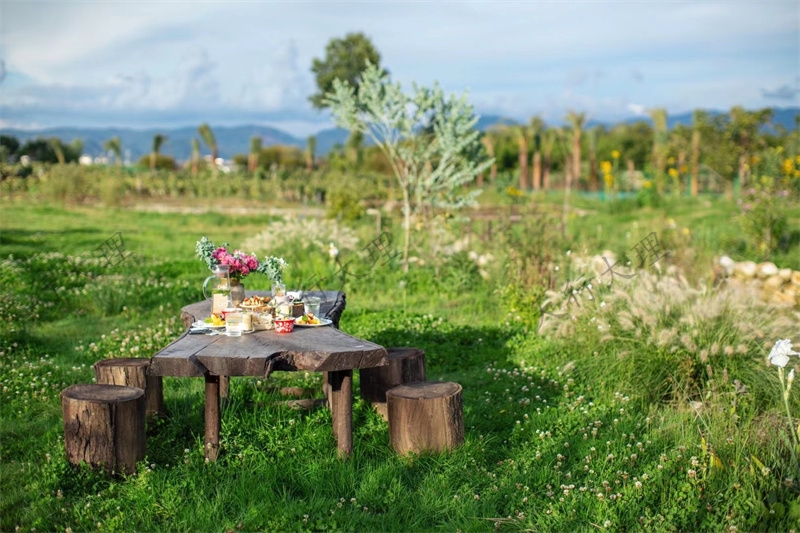 農場香草下午茶 大理紅豆杉食堂 蔬菜  采摘 草莓  自由的推薦