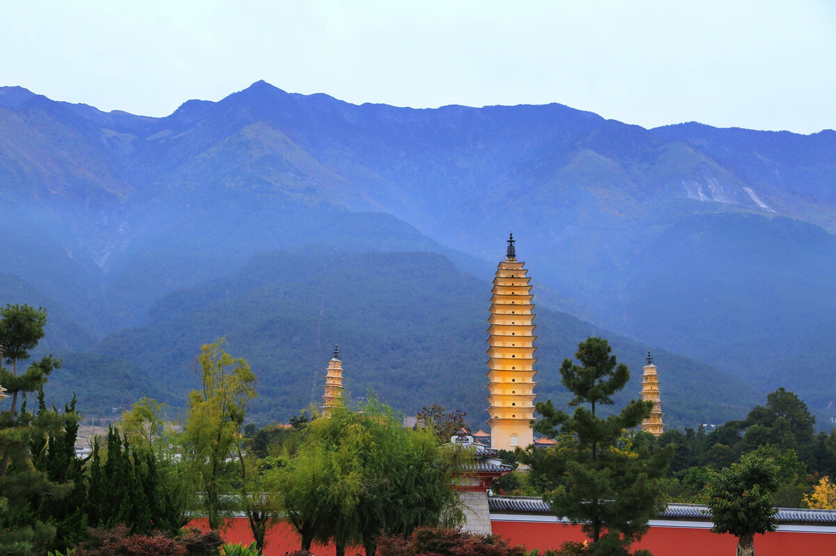 大理傳媒公司：蒼山西坡杜鵑花開(kāi)成海，絕不辜負(fù)你賞春的心意！