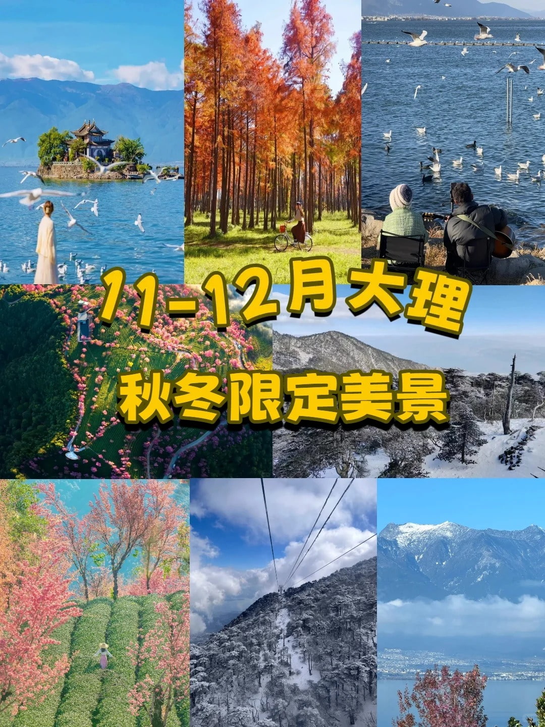 云南旅游,云南旅行社,云南團建公司,云南策劃公司,云南會議會展,云南策劃執行,大理旅游,大理旅行社,大理團建公司,大理會議公司,大理會議會展,大理策劃公司:11-12月大理秋季限定美景美到窒息